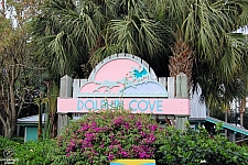 Dolphin Cove