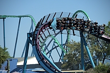 Mako