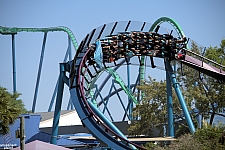 Mako