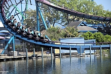 Mako