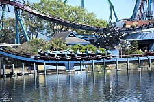 Mako