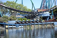 Mako