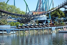 Mako