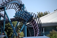 Mako