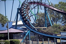 Mako