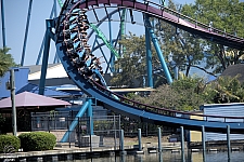 Mako