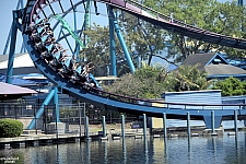 Mako