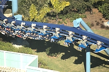 Manta