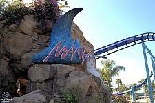 Manta