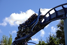 Manta