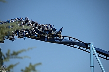 Manta