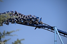 Manta