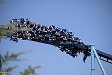 Manta