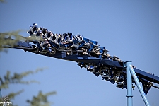 Manta