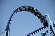 Manta