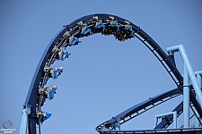 Manta
