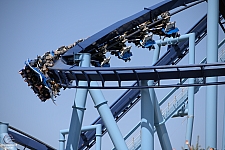 Manta