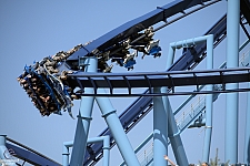 Manta