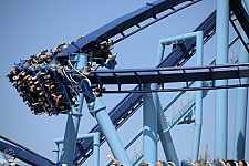 Manta