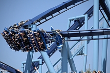 Manta