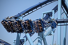Manta