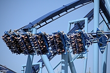 Manta