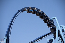 Manta