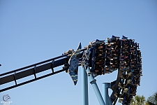 Manta
