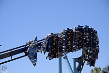Manta