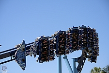 Manta