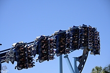Manta
