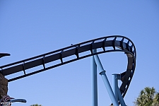 Manta