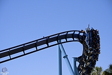 Manta