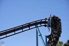 Manta