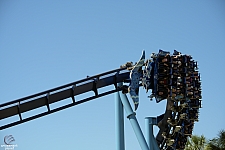 Manta
