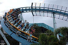 Pipeline: The Surf Coaster
