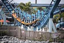 Pipeline: The Surf Coaster