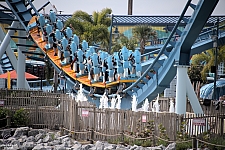 Pipeline: The Surf Coaster