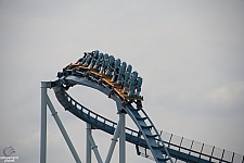 Pipeline: The Surf Coaster
