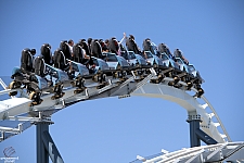 Penguin Trek