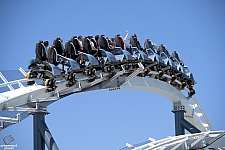 Penguin Trek