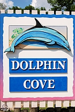 Dolphin Cove