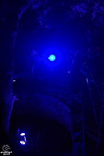 Howl-O-Scream 2021
