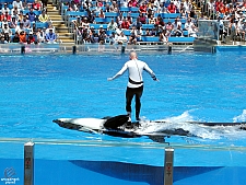 Shamu Stadium