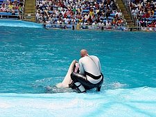 Shamu Stadium