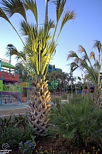 Aquatica San Antonio