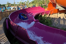 Stingray Rapids