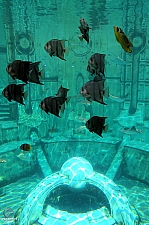 Joruney to Atlantis Aquarium