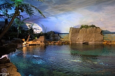 Shark Encounter
