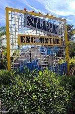 Shark Encounter
